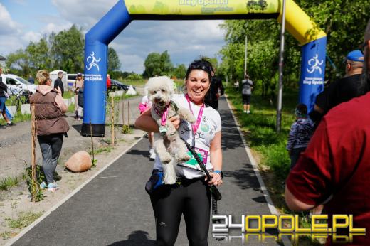 Dziesiątki czworonogów biegało i spacerowało wokół kąpieliska Malina