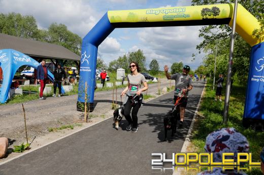 Dziesiątki czworonogów biegało i spacerowało wokół kąpieliska Malina