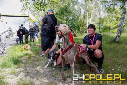 Dziesiątki czworonogów biegało i spacerowało wokół kąpieliska Malina
