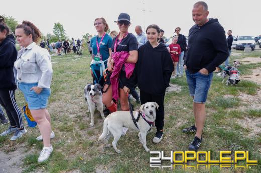 Dziesiątki czworonogów biegało i spacerowało wokół kąpieliska Malina