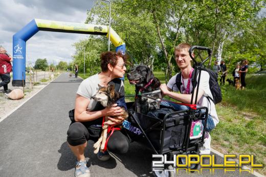 Dziesiątki czworonogów biegało i spacerowało wokół kąpieliska Malina