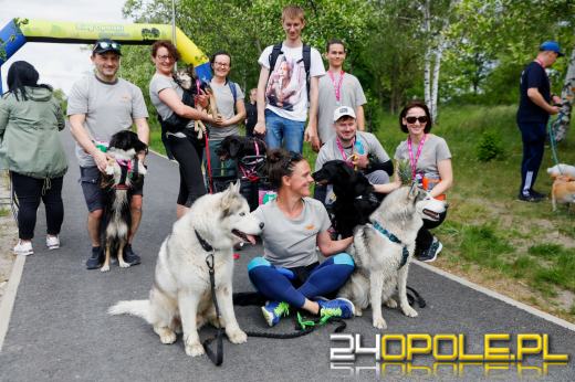 Dziesiątki czworonogów biegało i spacerowało wokół kąpieliska Malina
