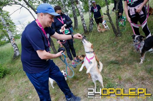 Dziesiątki czworonogów biegało i spacerowało wokół kąpieliska Malina