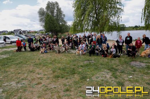 Dziesiątki czworonogów biegało i spacerowało wokół kąpieliska Malina