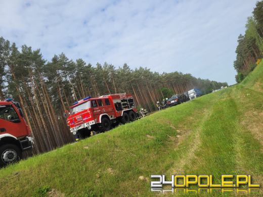 Pożar samochodu na trasie Grodziec-Myślina