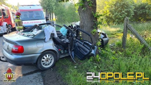 Poważny wypadek w gminie Byczyna. Kierujący Audi uderzył w drzewo