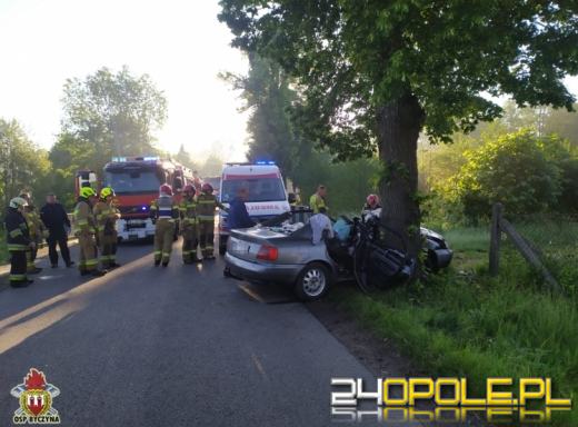 Poważny wypadek w gminie Byczyna. Kierujący Audi uderzył w drzewo