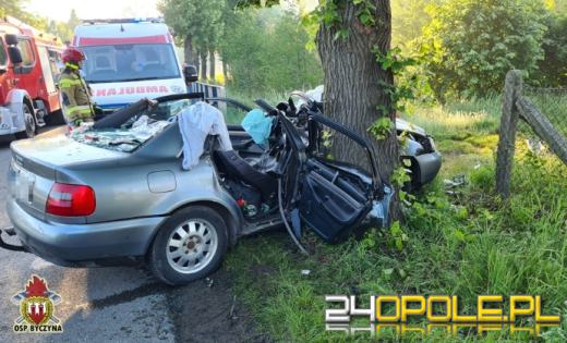 Poważny wypadek w gminie Byczyna. Kierujący Audi uderzył w drzewo