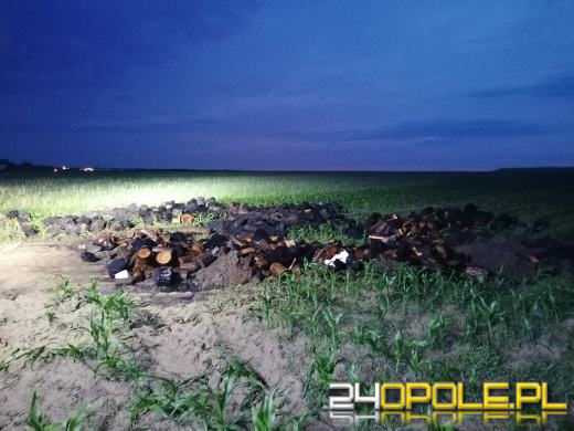 Pięć zastępów straży gasiło w nocy pożar podkładów drewnianych