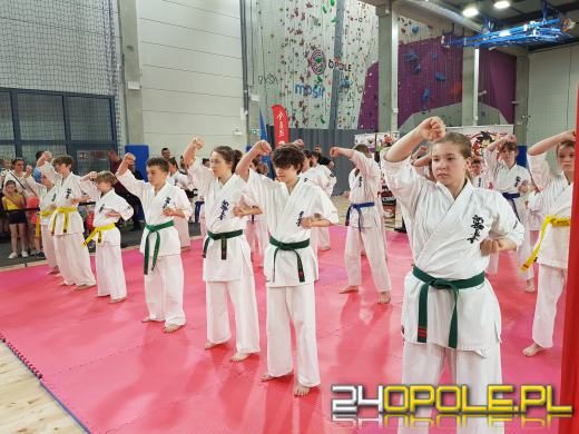 Za nami Dzień Sportu w Opolu. Pokazy, konkursy i niesamowita frekwencja