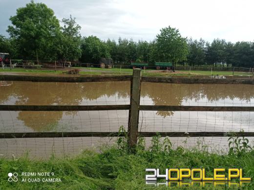 Strażacy podsumowali interwencje pogodowe w regionie