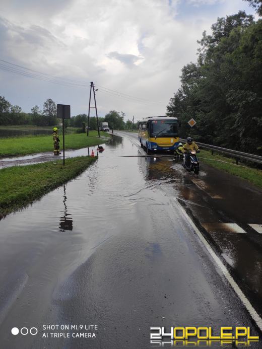 Strażacy podsumowali interwencje pogodowe w regionie