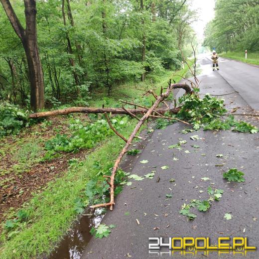 Strażacy podsumowali interwencje pogodowe w regionie