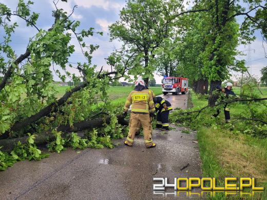 Strażacy podsumowali interwencje pogodowe w regionie