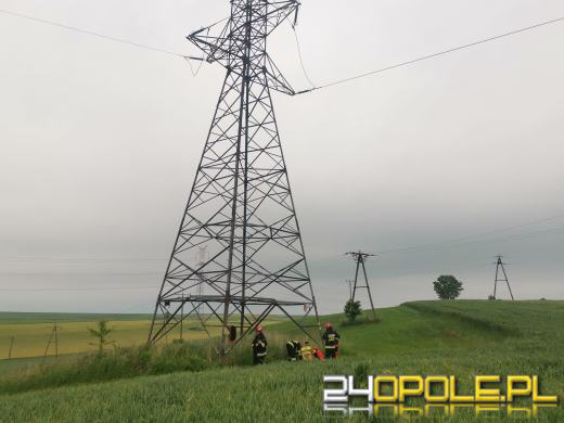 Mężczyzna spadł ze słupa energetycznego. Zdarzenie w Polskiej Cerekwii