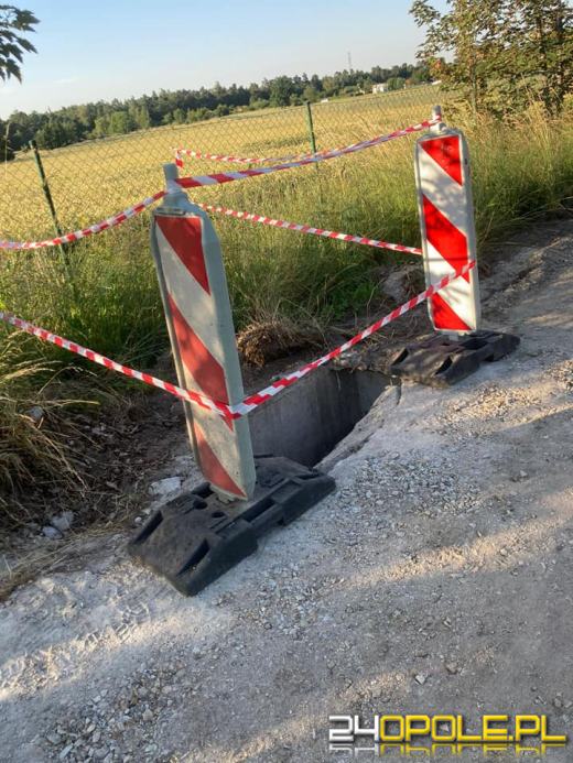 Borsuk utknął w studzience. Uratowali go strażacy