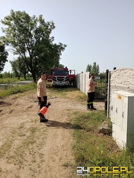 Koparka "wpadła" do akwenu w Malerzowicach Wielkich. Interweniowała straż