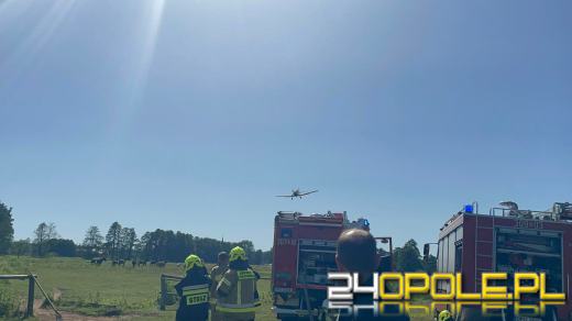 Strażacy odnotowują mnóstwo pożarów lasów i suchych traw