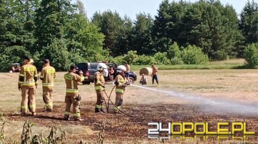 Strażacy odnotowują mnóstwo pożarów lasów i suchych traw