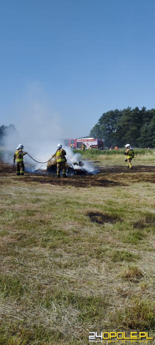 Strażacy odnotowują mnóstwo pożarów lasów i suchych traw