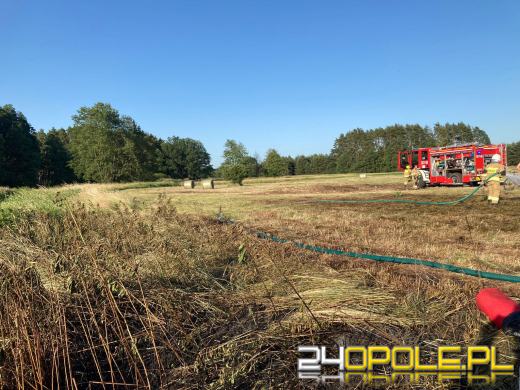 Strażacy odnotowują mnóstwo pożarów lasów i suchych traw