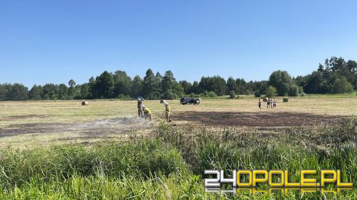 Strażacy odnotowują mnóstwo pożarów lasów i suchych traw