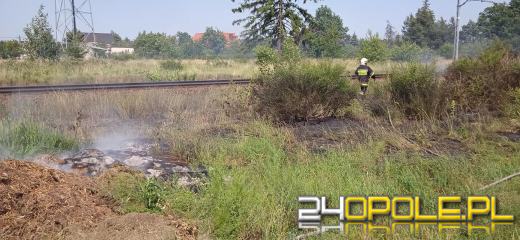 Strażacy odnotowują mnóstwo pożarów lasów i suchych traw