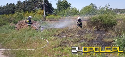 Strażacy odnotowują mnóstwo pożarów lasów i suchych traw