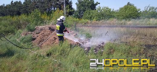 Strażacy odnotowują mnóstwo pożarów lasów i suchych traw