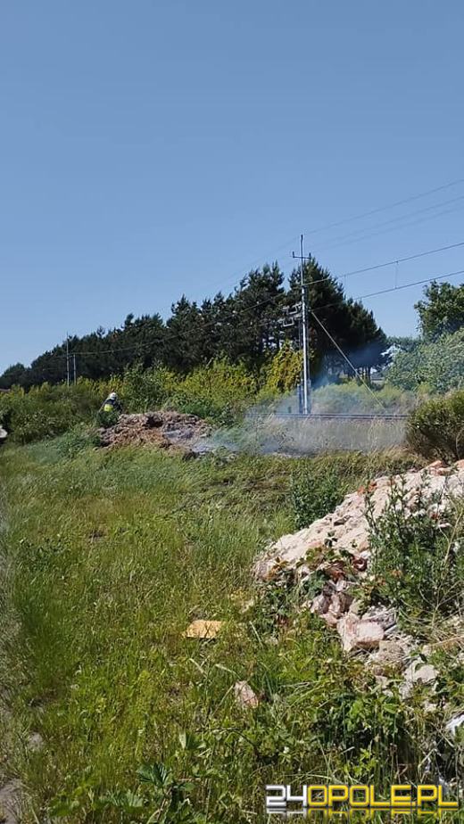 Strażacy odnotowują mnóstwo pożarów lasów i suchych traw