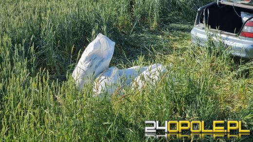 Pijany kierowca i pasażer. Auto "wypchane" tytoniem dachowało w polu