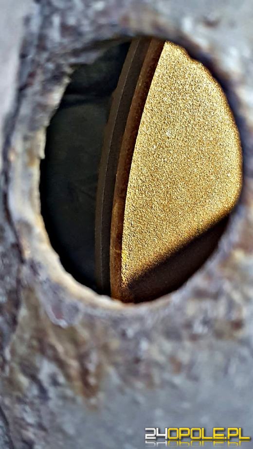 Kurs Polska - Serbia bez hamulca w naczepie