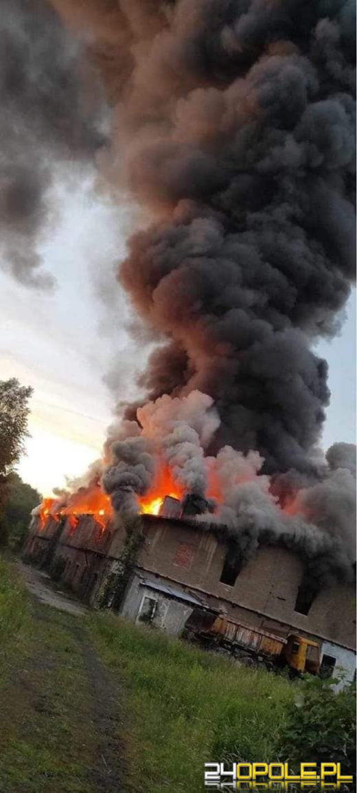 Ogromny pożar w Konradowie. Spłonął dach nieczynnej cegielni