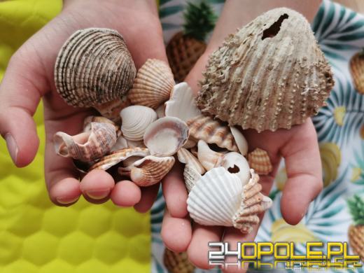 KAS podpowiada: Jak nie zostać wakacyjnym przemytnikiem