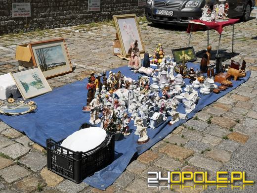 Rycerze, eko miasteczko, w sobotę nie można się nudzić 