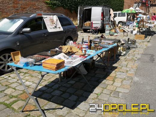 Rycerze, eko miasteczko, w sobotę nie można się nudzić 