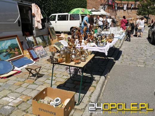 Rycerze, eko miasteczko, w sobotę nie można się nudzić 