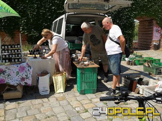 Rycerze, eko miasteczko, w sobotę nie można się nudzić 