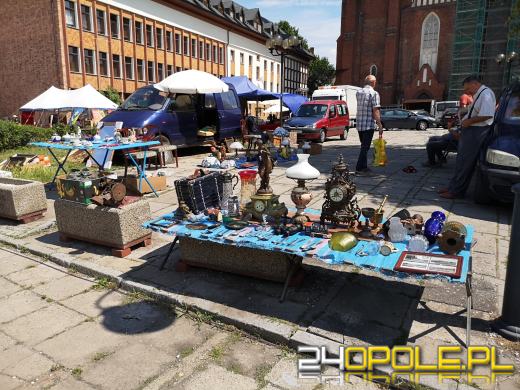 Rycerze, eko miasteczko, w sobotę nie można się nudzić 