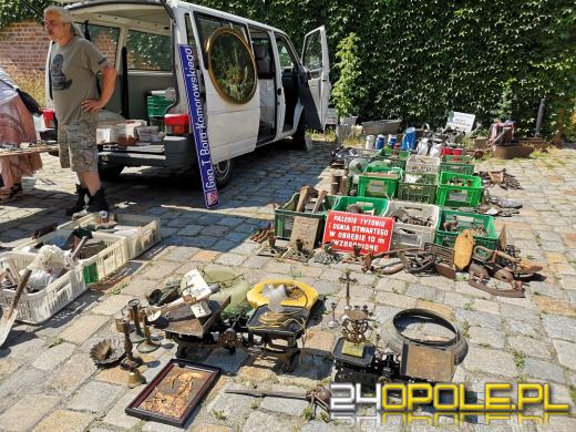 Rycerze, eko miasteczko, w sobotę nie można się nudzić 