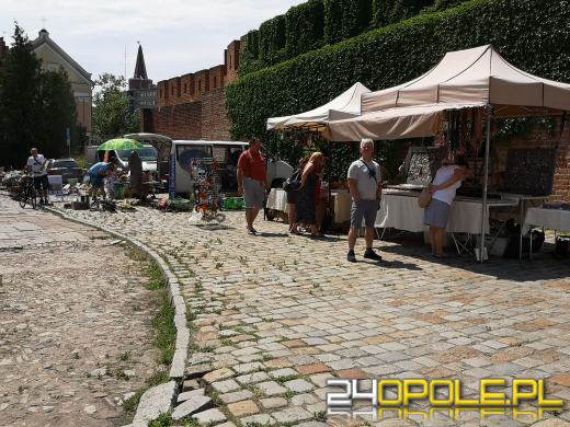 Rycerze, eko miasteczko, w sobotę nie można się nudzić 