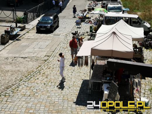 Rycerze, eko miasteczko, w sobotę nie można się nudzić 