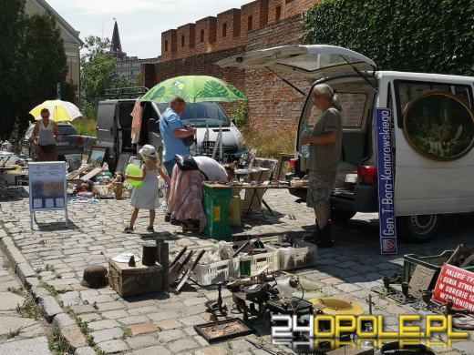 Rycerze, eko miasteczko, w sobotę nie można się nudzić 