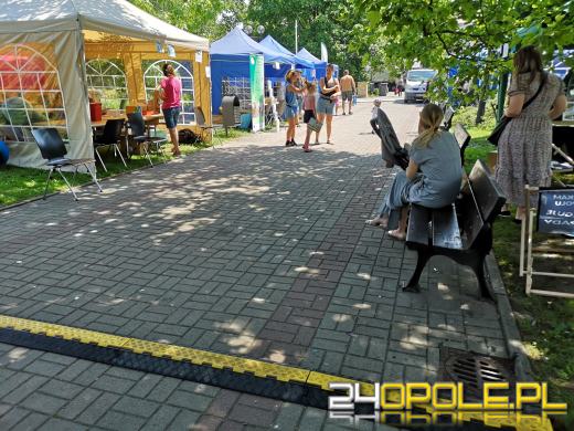 Rycerze, eko miasteczko, w sobotę nie można się nudzić 