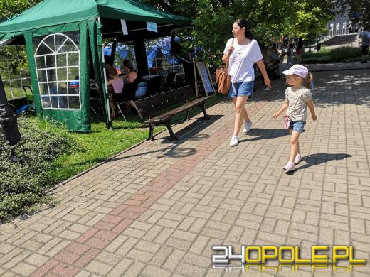 Rycerze, eko miasteczko, w sobotę nie można się nudzić 