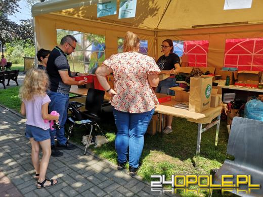 Rycerze, eko miasteczko, w sobotę nie można się nudzić 