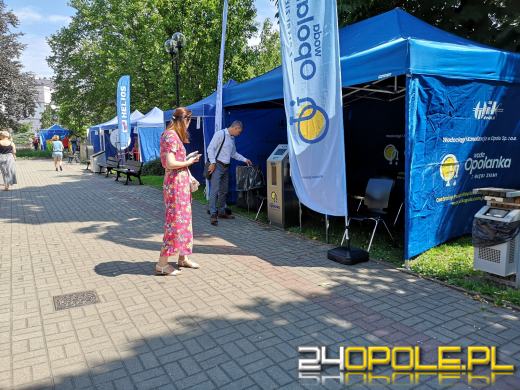 Rycerze, eko miasteczko, w sobotę nie można się nudzić 