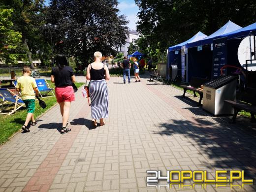 Rycerze, eko miasteczko, w sobotę nie można się nudzić 