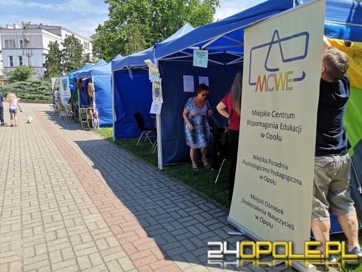 Rycerze, eko miasteczko, w sobotę nie można się nudzić 