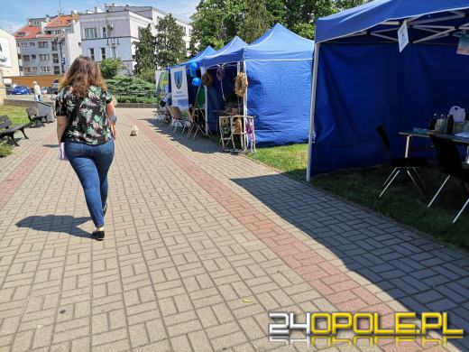 Rycerze, eko miasteczko, w sobotę nie można się nudzić 